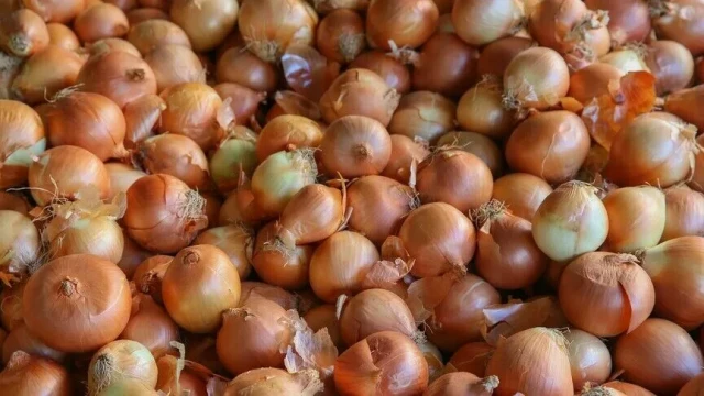 Kuru soğan ve ayçiçeği tohumu vergilerine düzenleme geldi