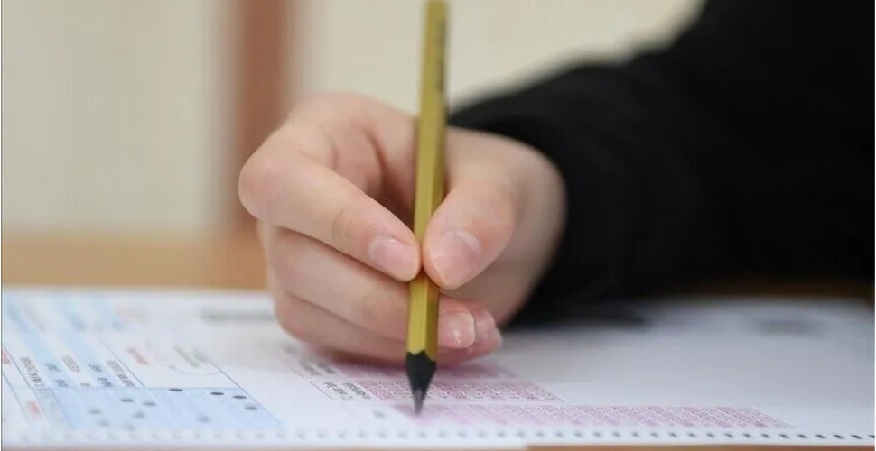 LGS ile YKS'nin içeriği yeni müfredata göre olacak
