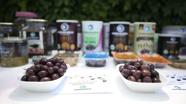 Marmarabirlik ihracatta rotayı Orta Doğu'ya çevirdi