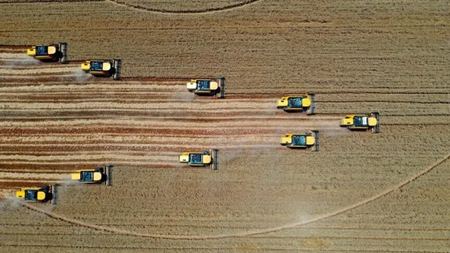 Türkiye tarımsal hasılada dünyada 7'nci, Avrupa'da birinci sırada