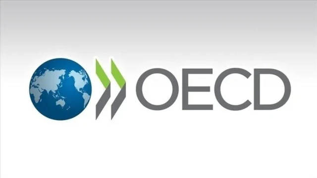 OECD, Türkiye'nin eğitim projelerini destekleyecek