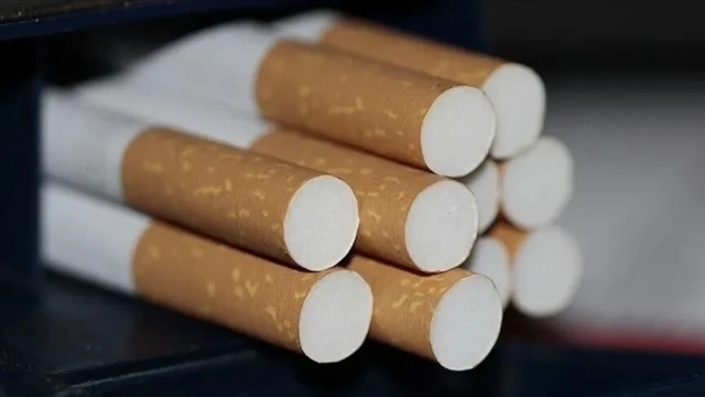 Türkiye'de kadınlarda tütün kullanımı 17 yılda yüzde 35 arttı