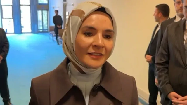 Bakan Göktaş'tan Yeni Parti'li Özlale'ye "istifa" çağrısı