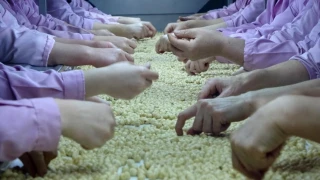 AB ülkelerine 8 bin 374 ton gönderildi