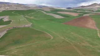 Çiftçinin yüzü yağmurla güldü