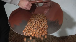 Zirai don fındık fiyatlarını uçurdu