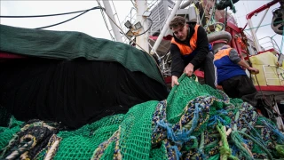 Egeli balıkçılar sezonun kalanından umutlu