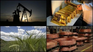 Emtia piyasası ocak ayında da rekor kırdı