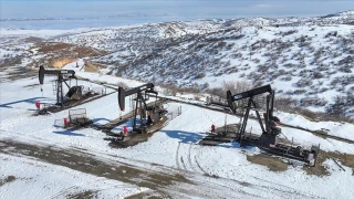 Güneydoğu ham petrol üretiminin yüzde 28'ini karşılıyor