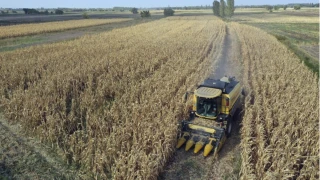 Hububat üretiminde gözler yağışlar ve sıcaklıklarda