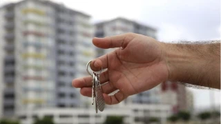 Konut ve iş yeri satış istatistiklerini açıklandı 