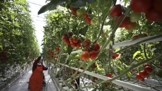 Marmara'daki iller kalkınmada İstanbul'un partneri olacak