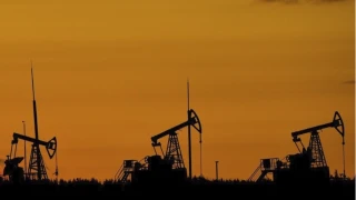 BAE: OPEC ve OPEC+'ten ayrılma kararı
