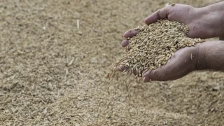 Hububat alımında rekor kırıldı