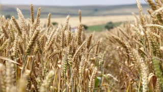 Karadeniz’de Gerilim Tırmanıyor