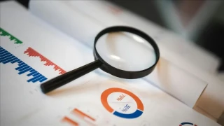 Yeni OVP ile dezenflasyon sürecinin devamı hedefleniyor