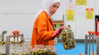 Türkiye'nin turşu ihracatı 301 milyon doları aştı